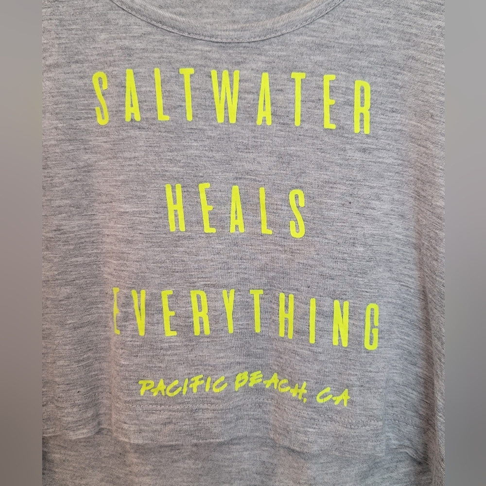 Graphic Crop Top Gray NWOT